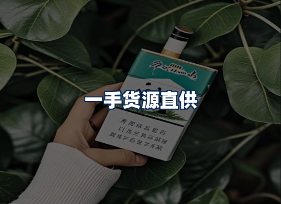 专业团队办公环境
